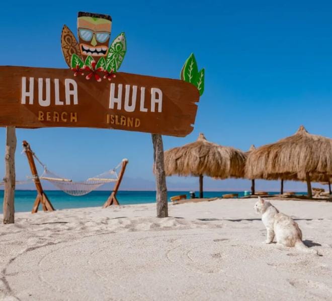 Hula Hula Island Hurghada – Caribbean Vibes & Snorkeling