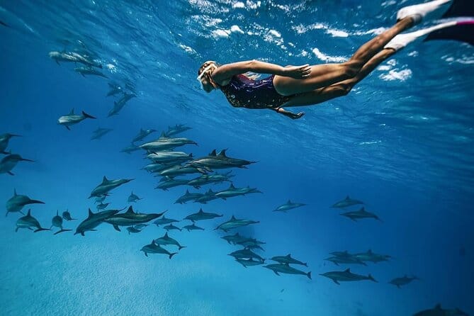 Dolphin House Hurghada – 3 Snorkeling Stops, Banana Boat & Red Sea